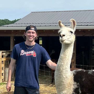 Celebrating Nature and Sustainability: A Visit to Two Routes Alpaca Farm with Green Llama