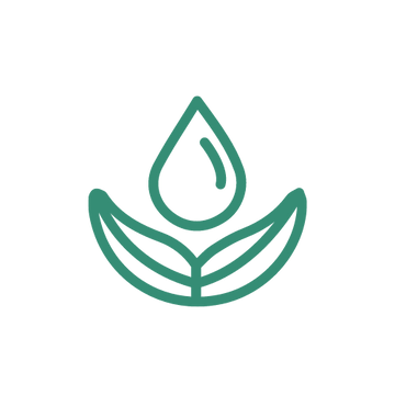 Non-Toxic Ingredients safe to use in your home