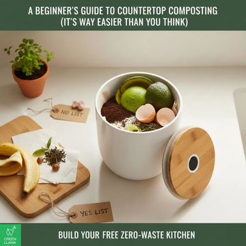 A Beginner's Guide to Countertop Composting (It's Way Easier Than You Think)
