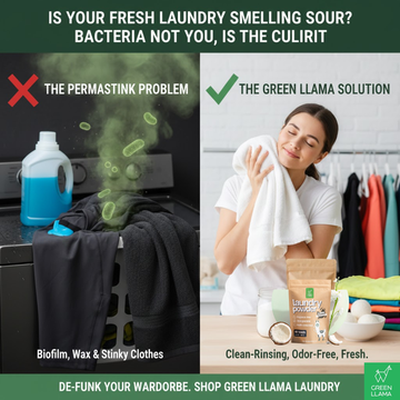Is Your Fresh Laundry Smelling Sour? Bacteria, Not You, Is the Culprit