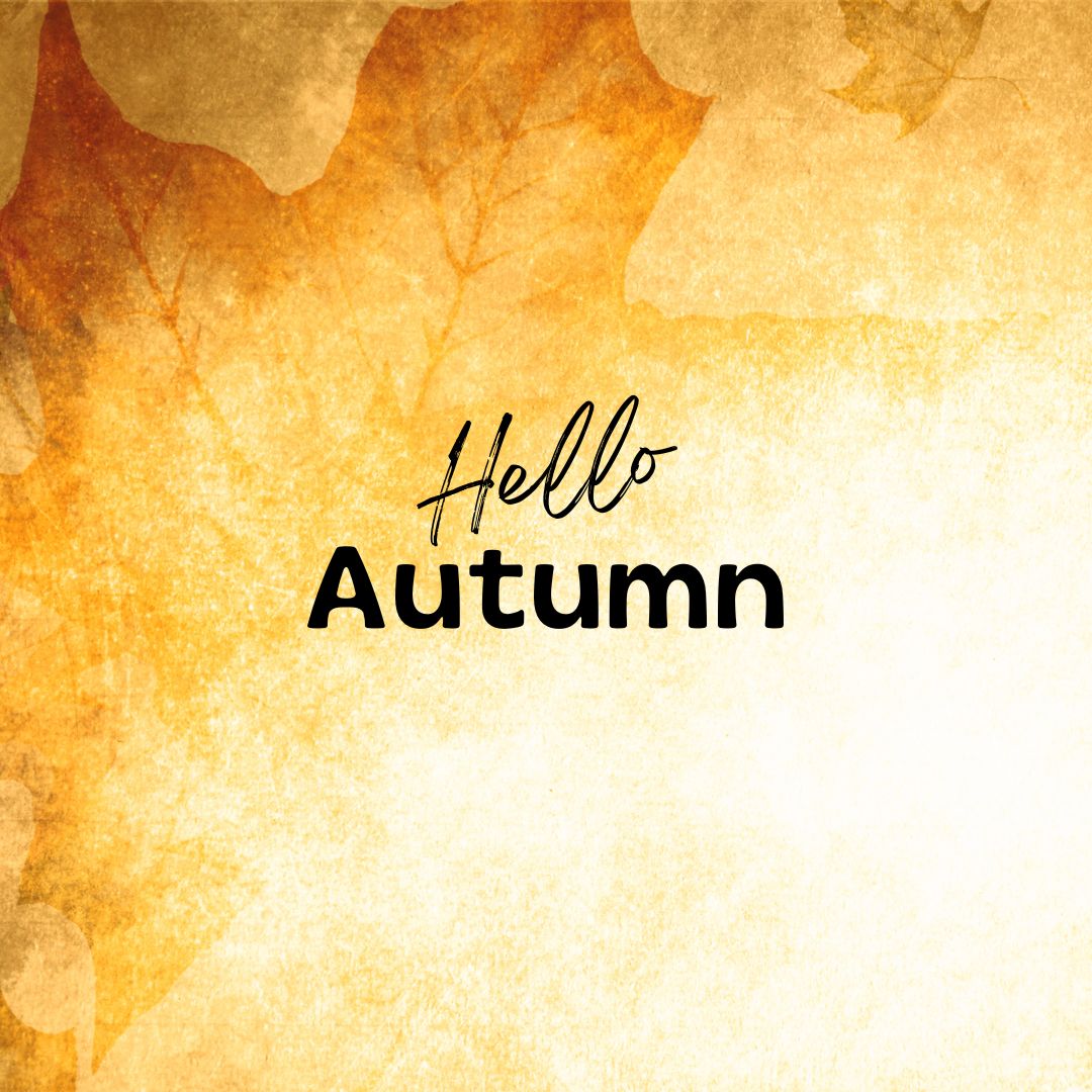 Savoring Autumn: Sustainable Tips for an Eco-Friendly Fall Season