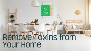 Health Tips: Reducing Toxins in Your Home