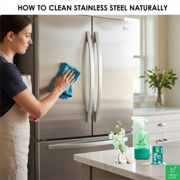 Is Your Stainless Steel Spotless? How to Clean It Naturally