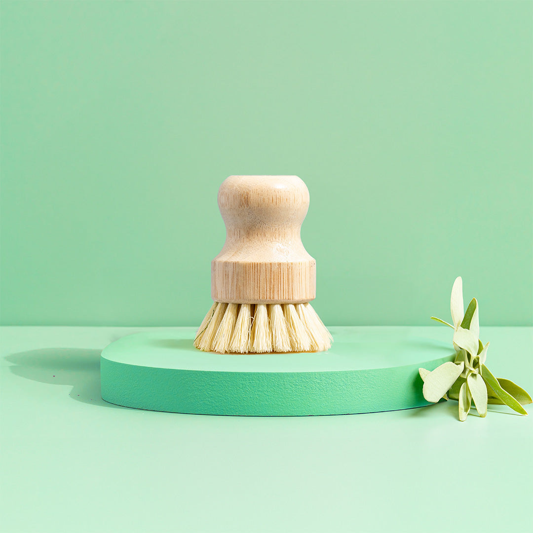 The Green Llama Sisal Dish Scrub Brush with light bristles stands upright on a mint green platform against a matching background, accented by a sprig of greenery.