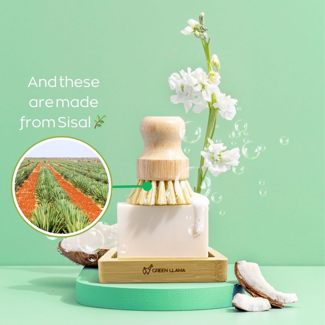 Green Llama's Eco-Friendly Dish Washing Starter Pack—featuring a wooden dish brush with sisal bristles on a soap bar in a bamboo tray—is shown with coconut pieces and a white flower, highlighting its sustainable, eco-friendly cleaning.