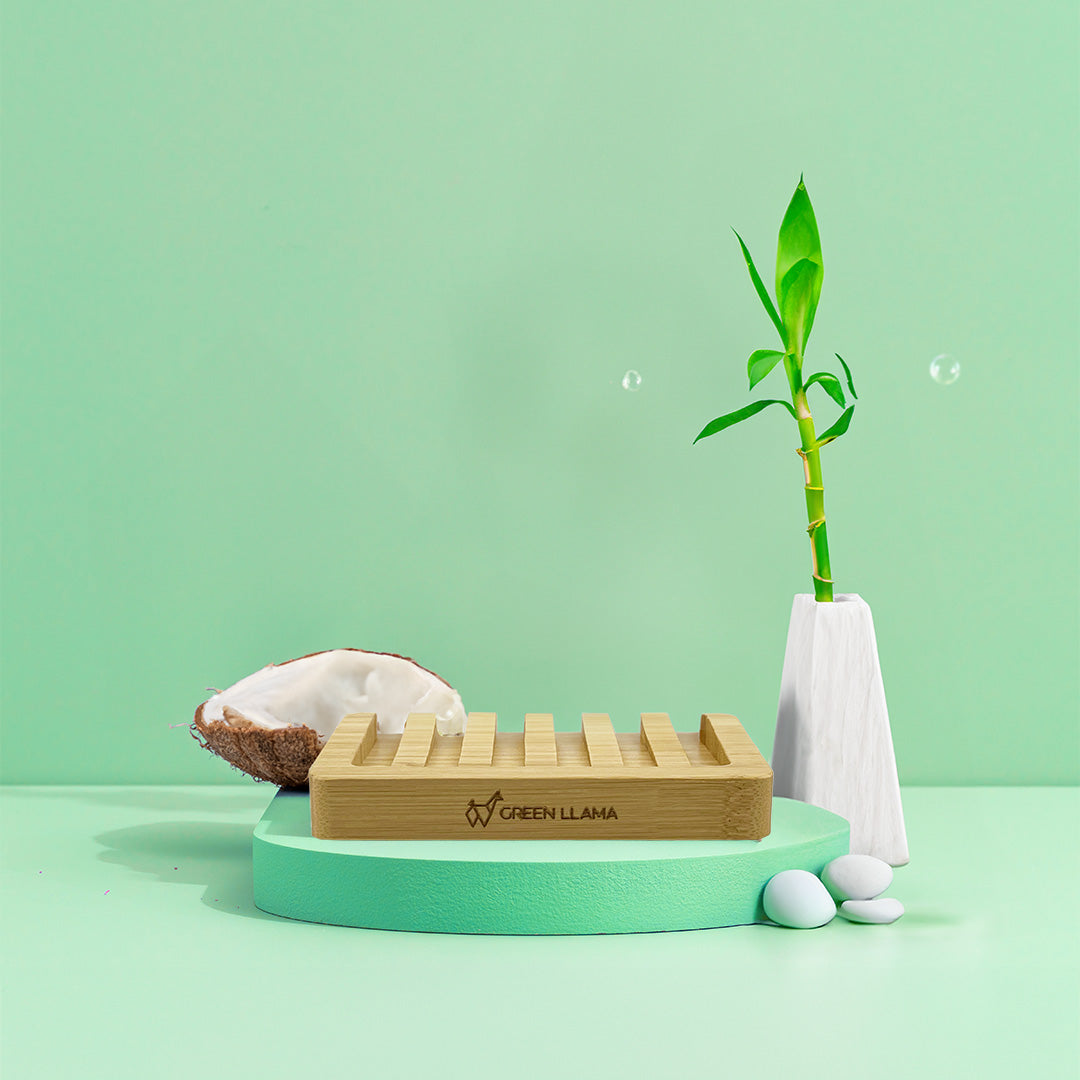 A Bamboo Dish Soap Holder with Signature Branding from Green Llama rests on a mint-green platform beside a soap bar, halved coconut, small bamboo plant in a white vase, and three white stones against a pastel green background.