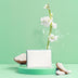 Solid Coconut Soap Dish Bar