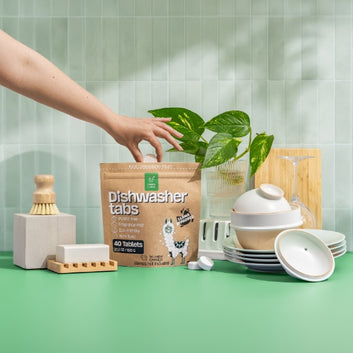 Green Llama Dish Starter Kit